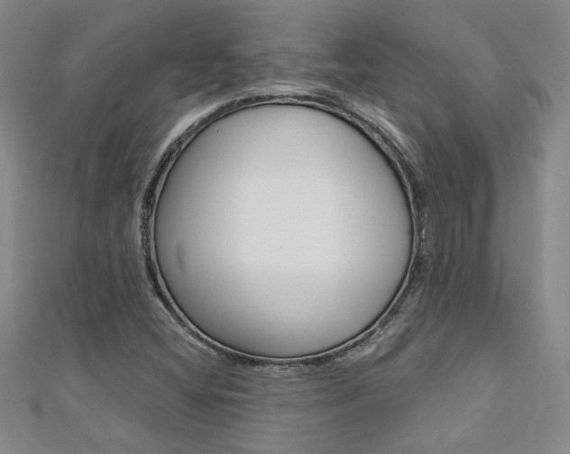 X0000110681404200906121025