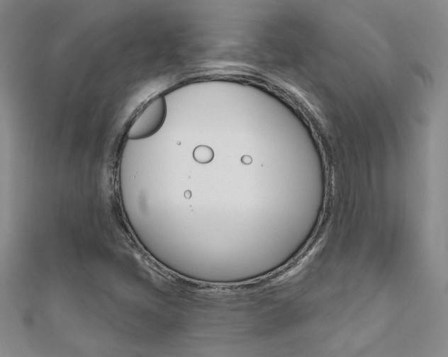 X0000110681405200906121025
