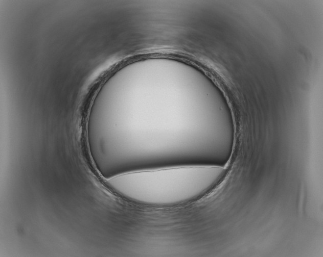 X0000110681406200906121025