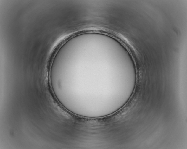 X0000110681408200906121025