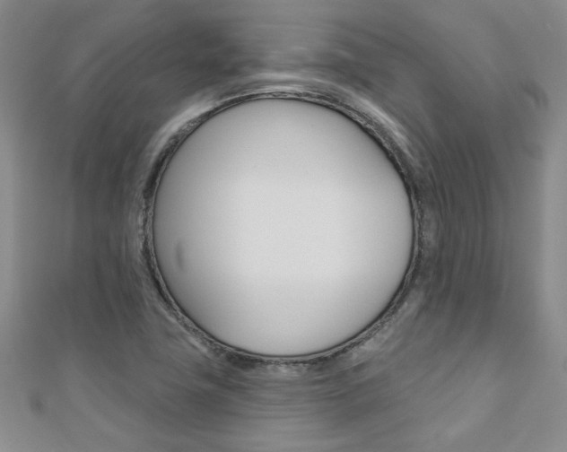 X0000110681411200906121025