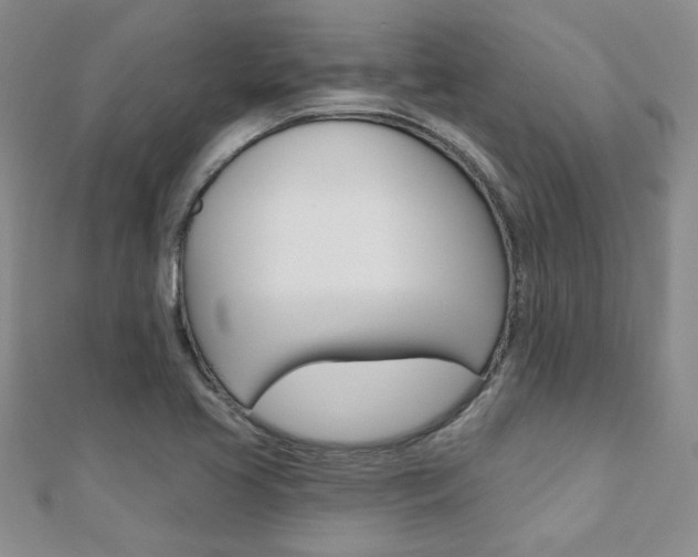 X0000110681413200906121025