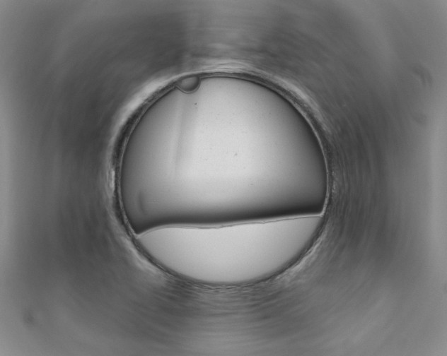 X0000110681414200906121025