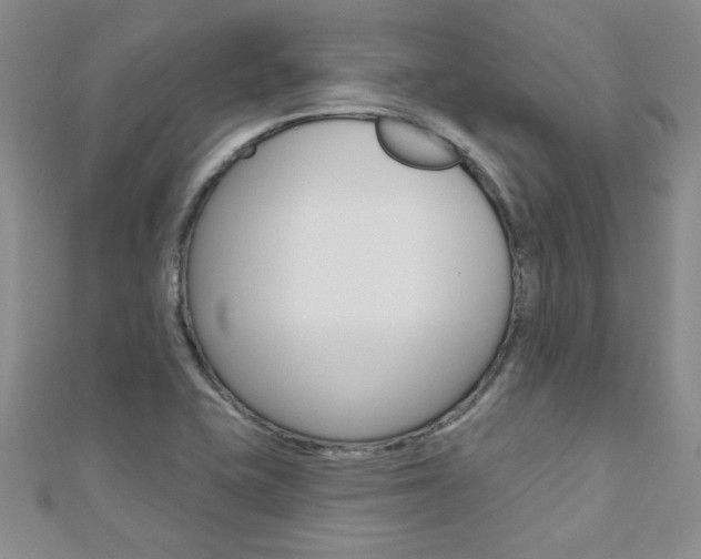 X0000110681415200906121025