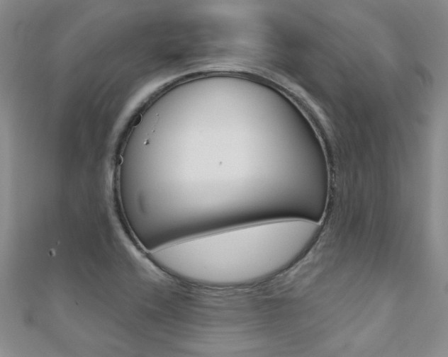 X0000110681416200906121025