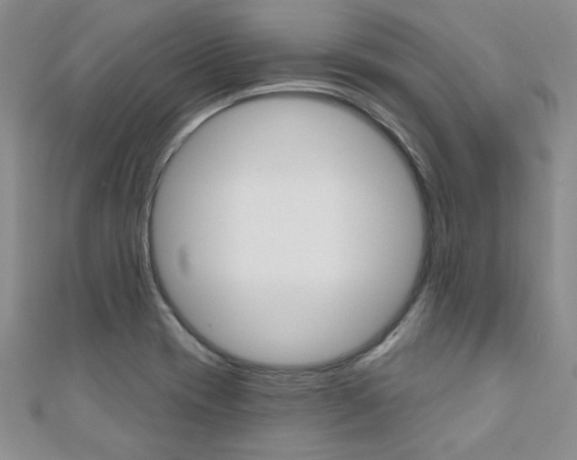 X0000110681417200906121025