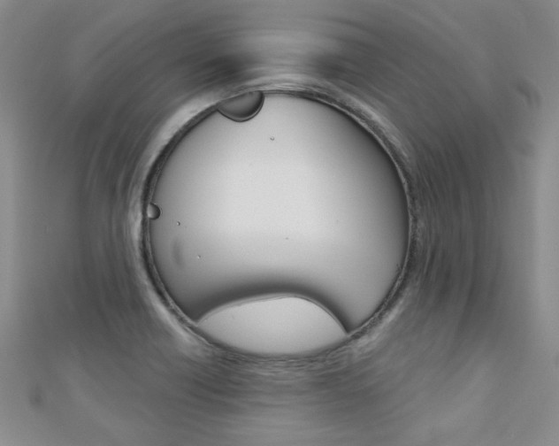 X0000110681418200906121025
