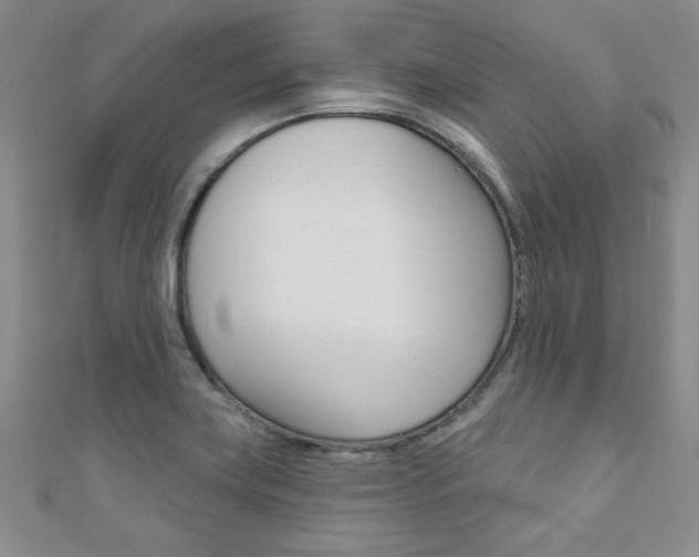 X0000110681419200906121025