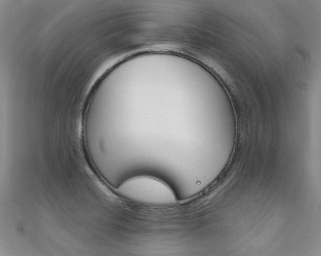 X0000110681420200906121025