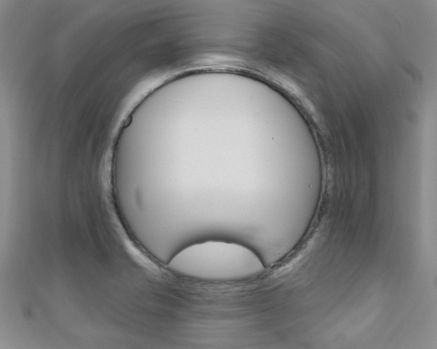 X0000110681421200906121025