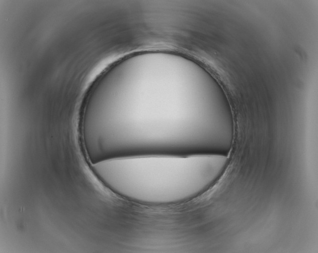 X0000110681422200906121025