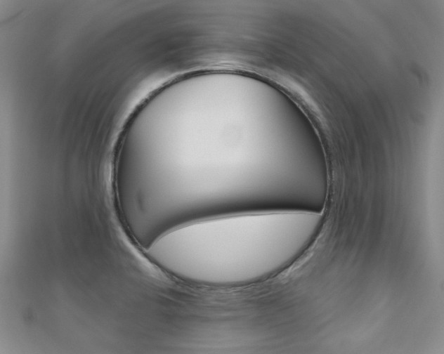 X0000110681424200906121025