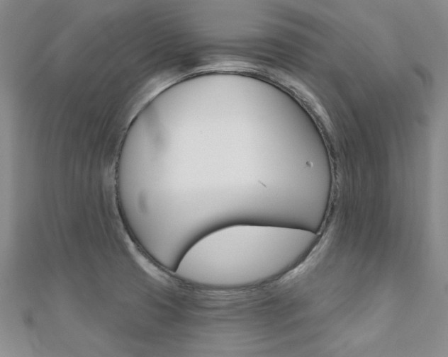 X0000110681425200906121025