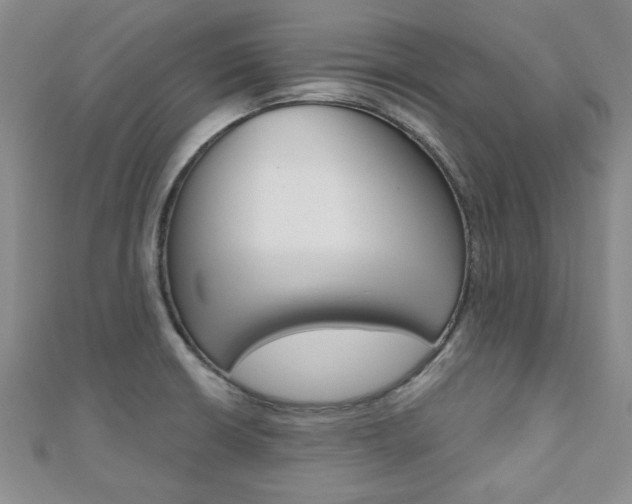 X0000110681426200906121025