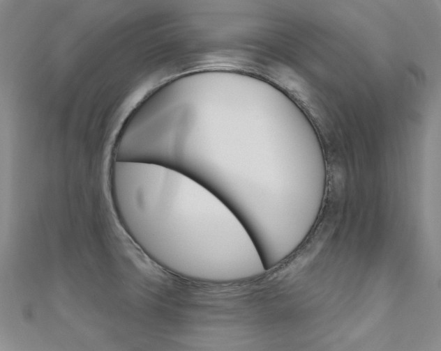 X0000110681427200906121025