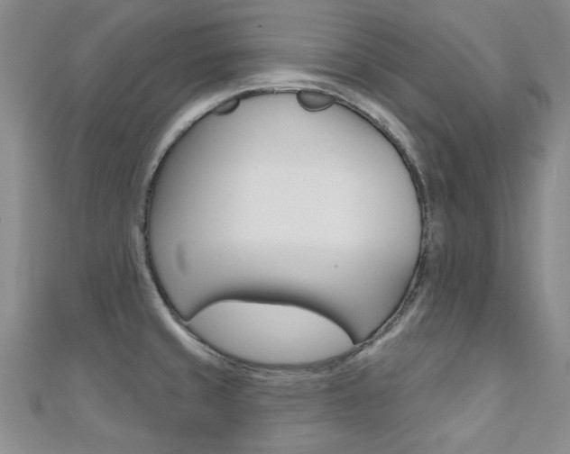 X0000110681429200906121025