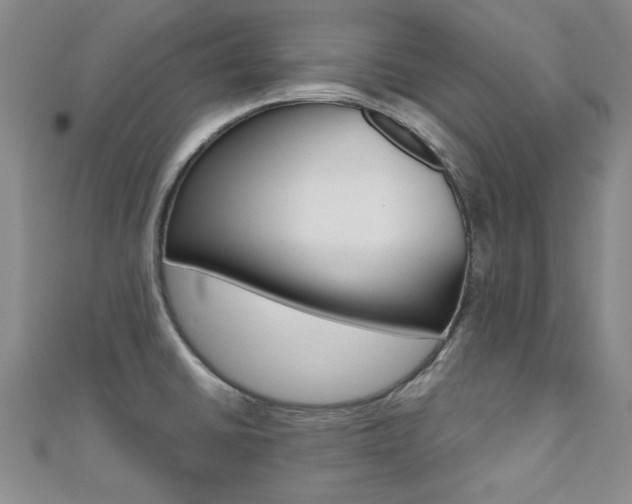 X0000110681430200906121025