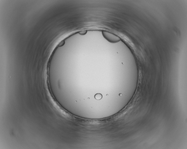 X0000110681431200906121025