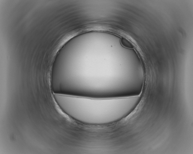 X0000110681433200906121026
