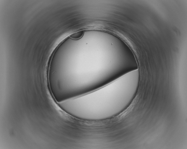 X0000110681434200906121026