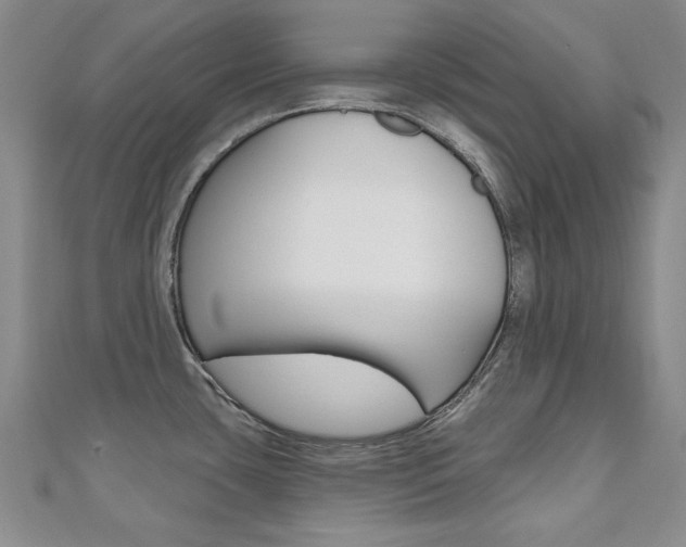 X0000110681435200906121026