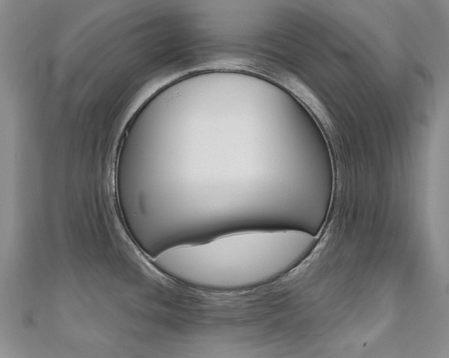 X0000110681436200906121026