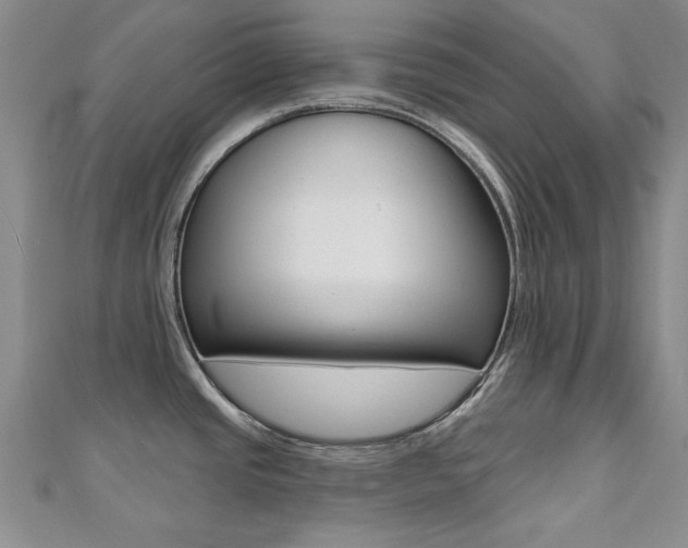 X0000110681437200906121026