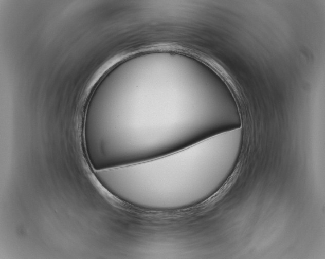 X0000110681438200906121026