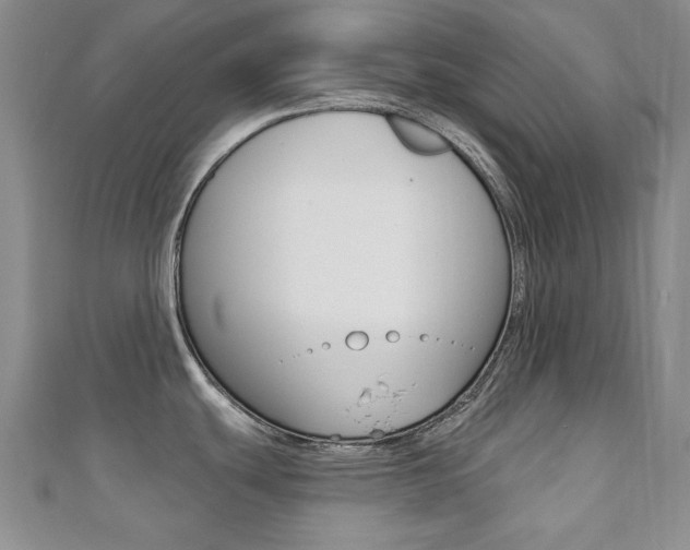 X0000110681439200906121026