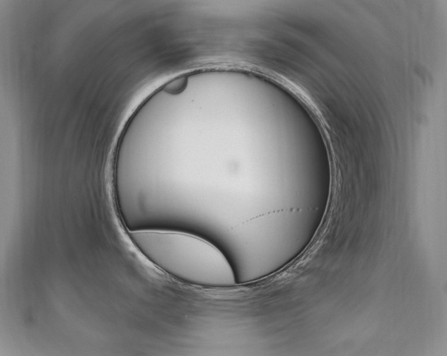 X0000110681440200906121026
