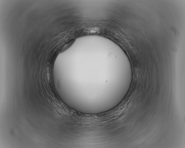 X0000110681442200906121025