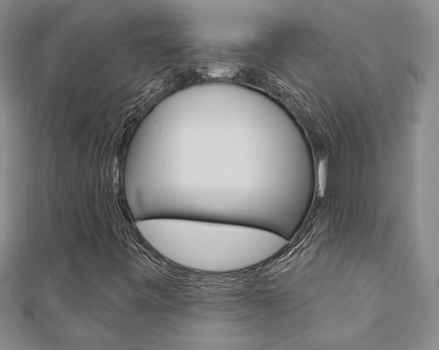 X0000110681443200906121025