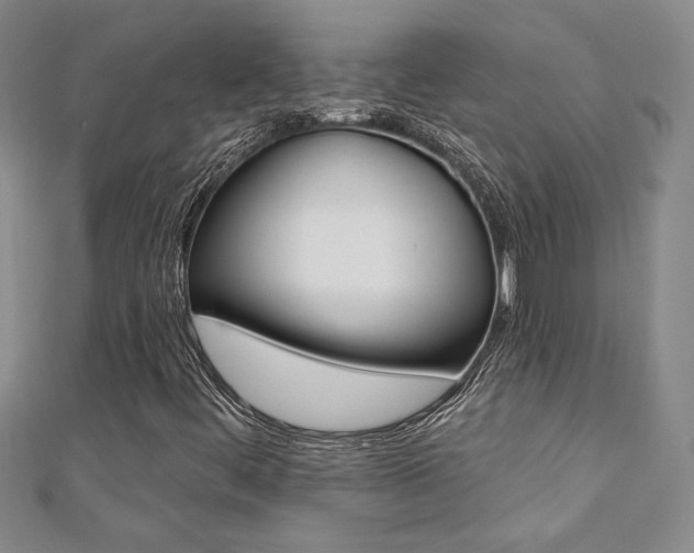 X0000110681444200906121025