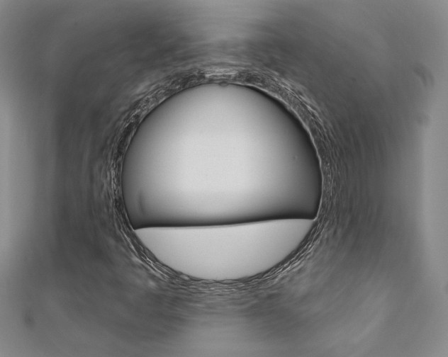 X0000110681445200906121025