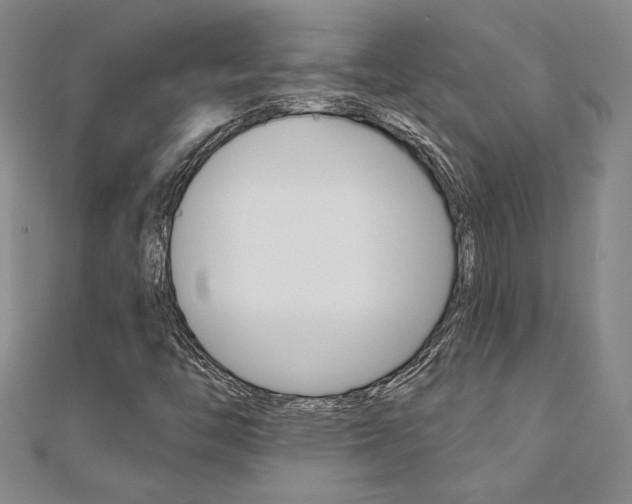 X0000110681446200906121025