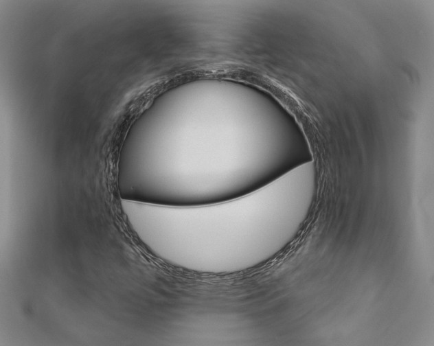 X0000110681447200906121025