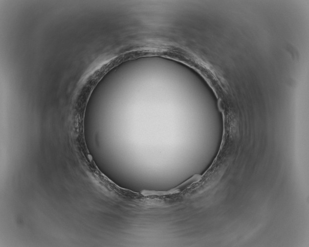 X0000110681448200906121025