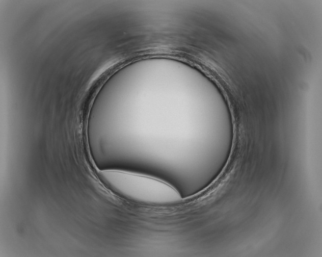 X0000110681450200906121025