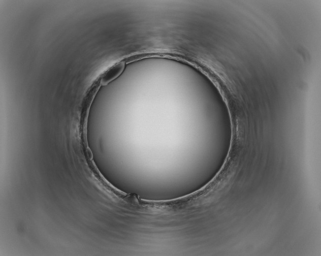 X0000110681452200906121025