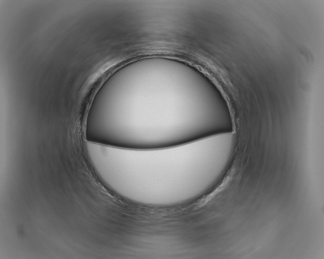 X0000110681453200906121025