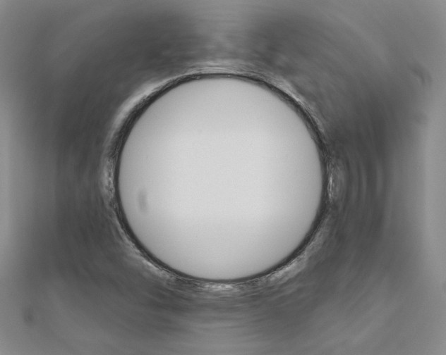 X0000110681454200906121025