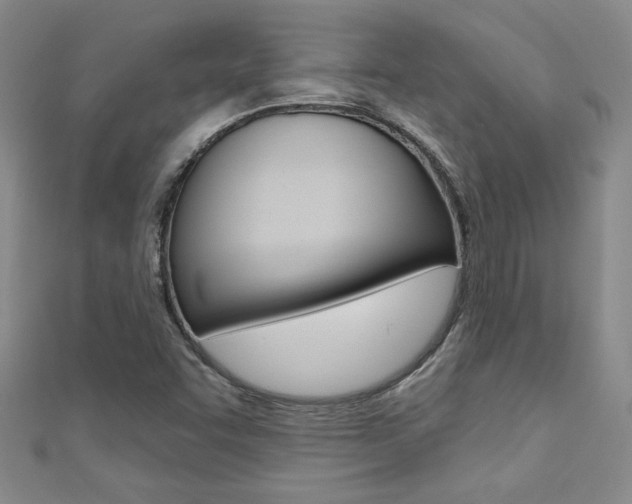 X0000110681455200906121025