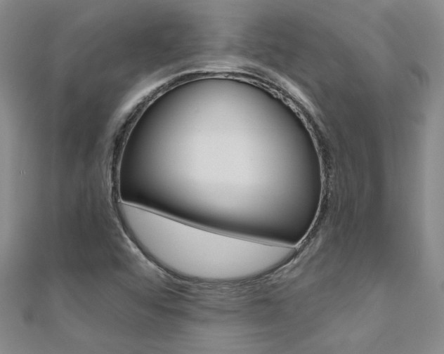 X0000110681456200906121025