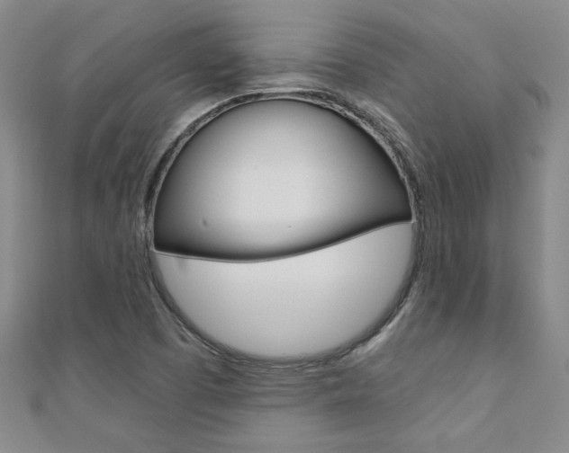 X0000110681457200906121025