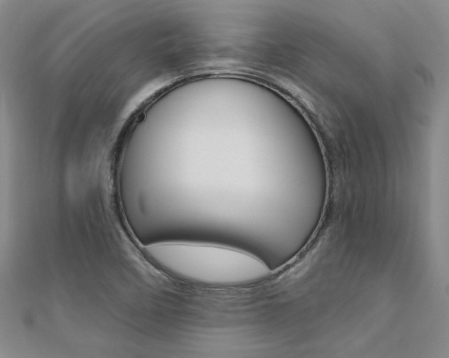 X0000110681458200906121025