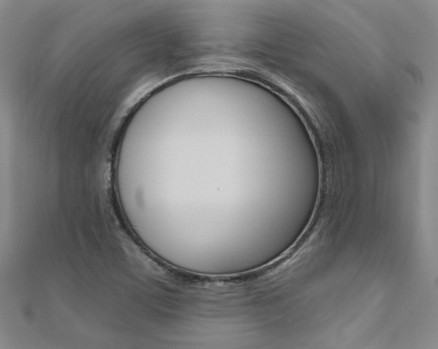 X0000110681459200906121025