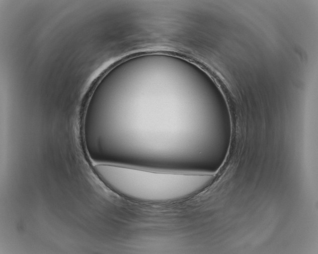X0000110681460200906121025