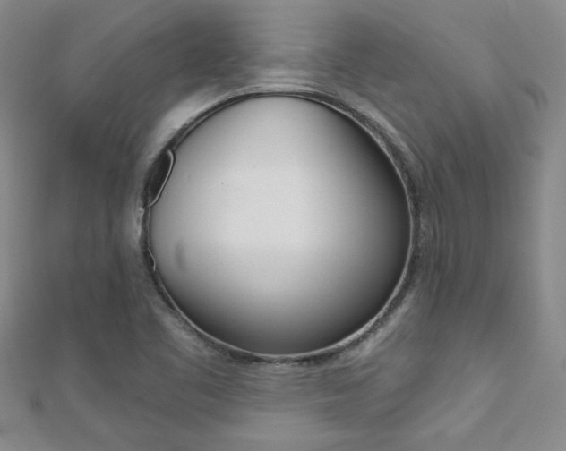 X0000110681461200906121025