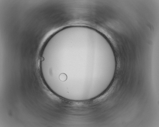X0000110681462200906121025