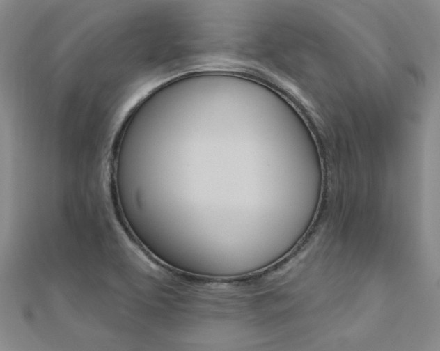 X0000110681463200906121025